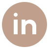 linkedin   -icon